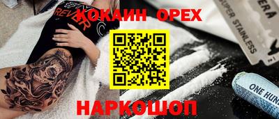 винт Сланцы