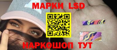 винт Сланцы