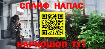 винт Сланцы